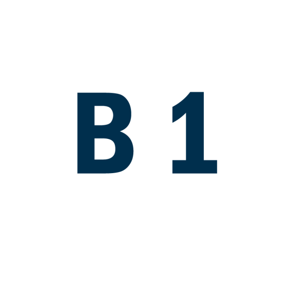 Румунська мова рівень B1