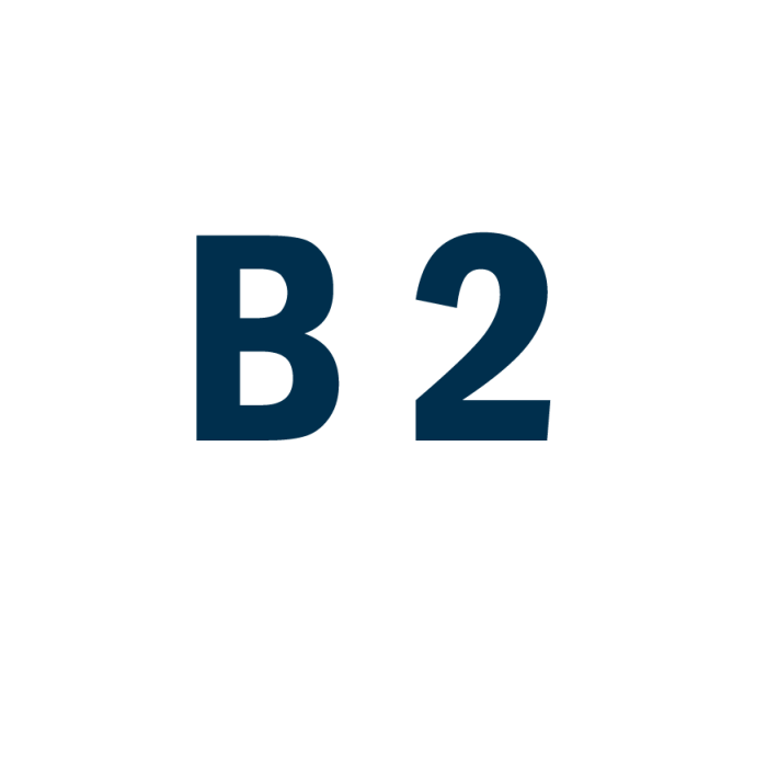 Італійська мова рівень B2