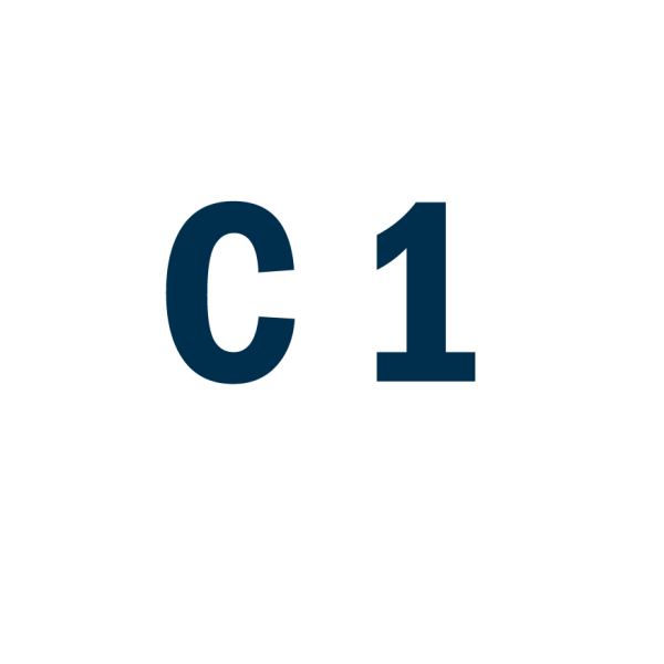 Італійська мова рівень C1