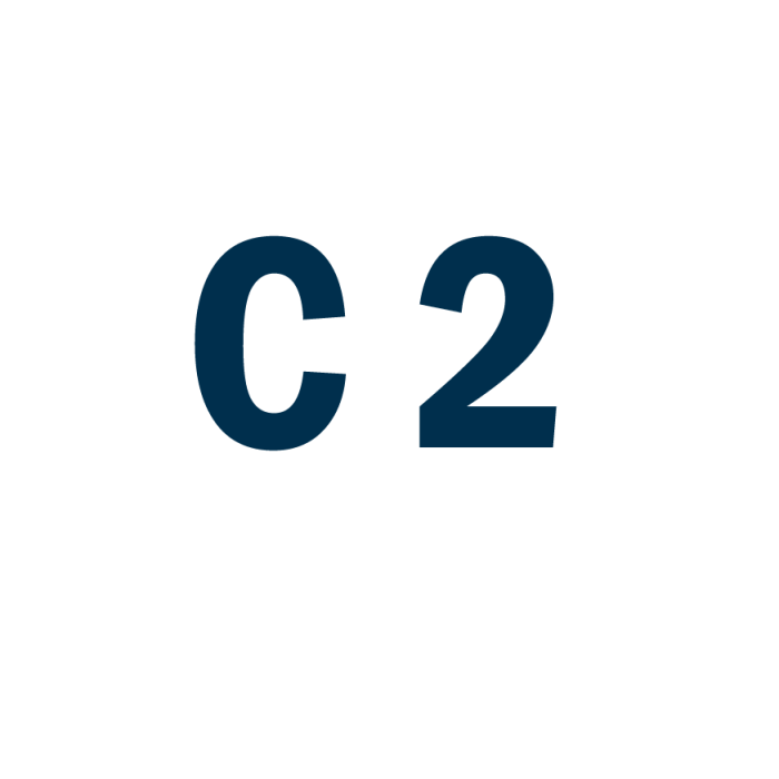 Італійська мова рівень C2